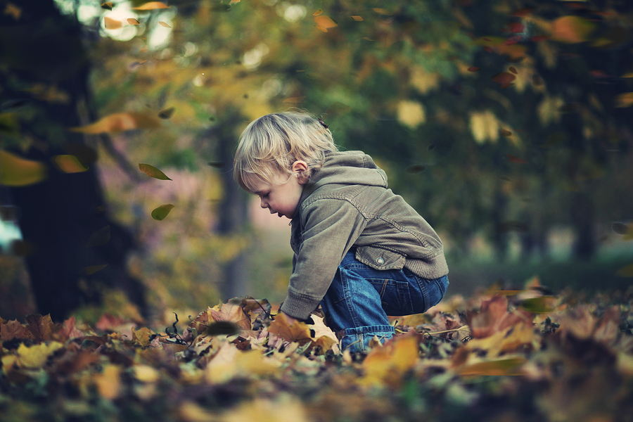 small child playing in autumn leaves