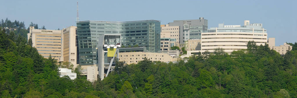 Landscape view of Marquam Hill campus