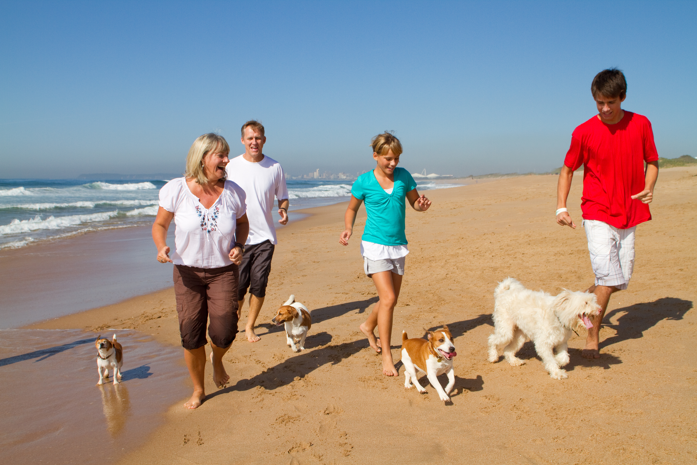 Family of four with their four dogs running on the beach