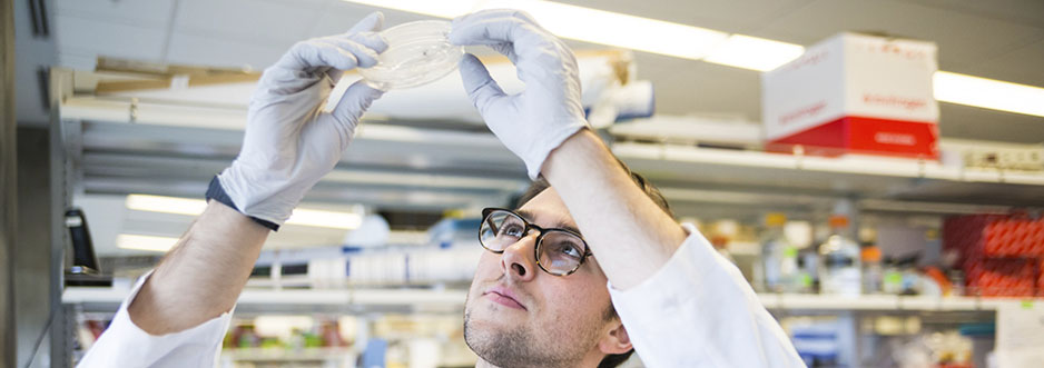A researcher examining a petri dish.