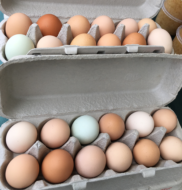 brown, green and pink eggs in a carton