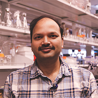 Anindit Mukherjee, PhD Post-doctoral Fellow in the Ellison Lab, 2018