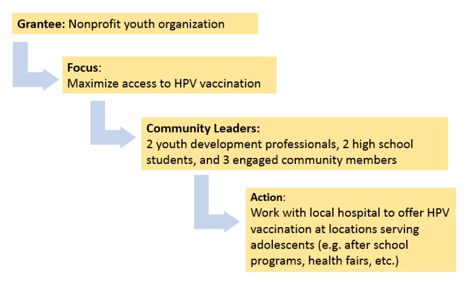 Focus area 1 example diagram shows steps to maximize access to HPV vaccination