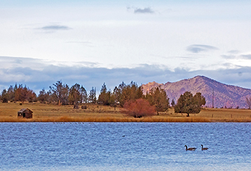 Central Oregon lake with two geese swimming in it with a mountain behind