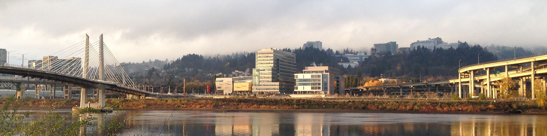 The Knight Cancer Research Building and Roberston Life Sciences Building as seen from across the Willamette River in the autumn