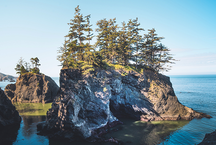 Small rock island with pine trees on the South Coast of Oregon