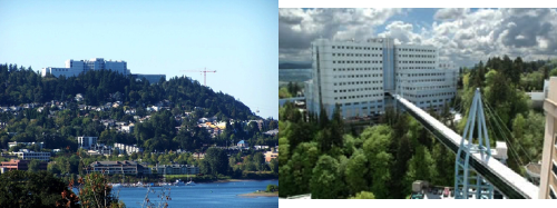 Two scenic, outdoor images, side by side, of the area around the Veterans Affairs Medical Center, on the OHSU campus.