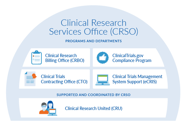 Graphic depicting the structure of the departments and programs within Clinical Research Services Office. 