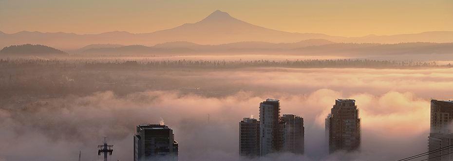 Fog over Portland's South Waterfront, as seen from OHSU's Marquam Hill campus.