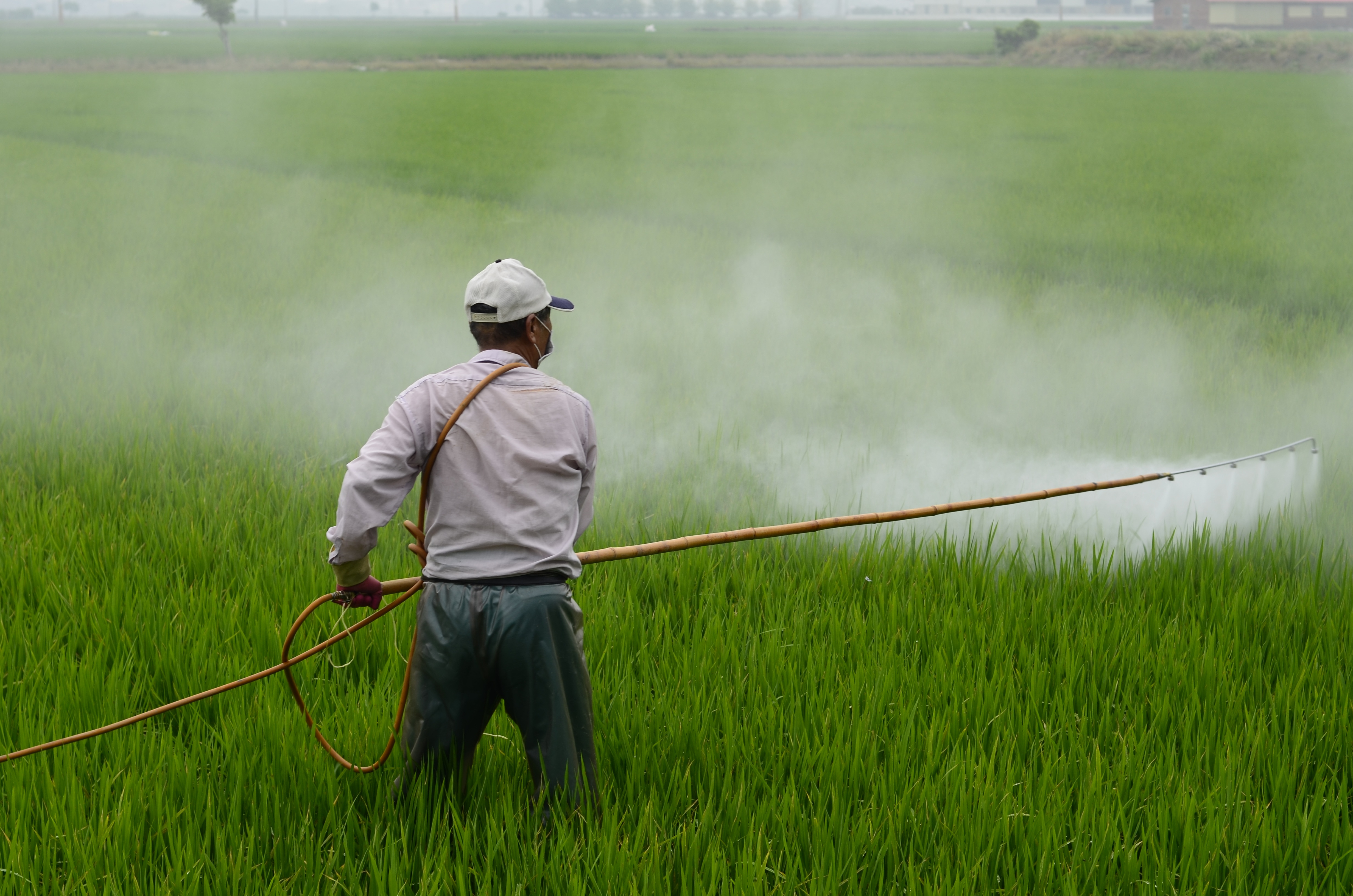 man spraying pesticide in a field