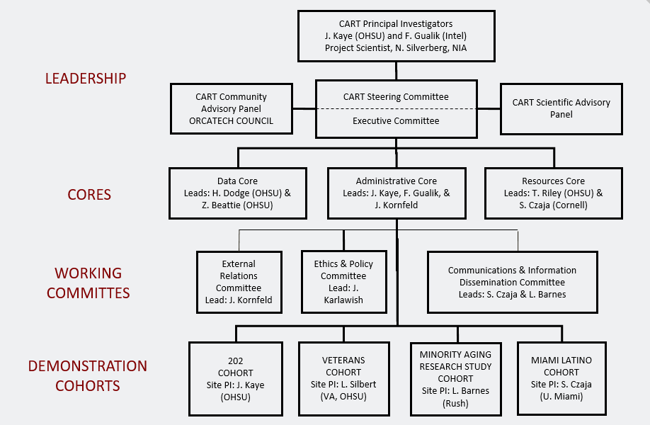 Organizational chart of the staff members involved with the CART study