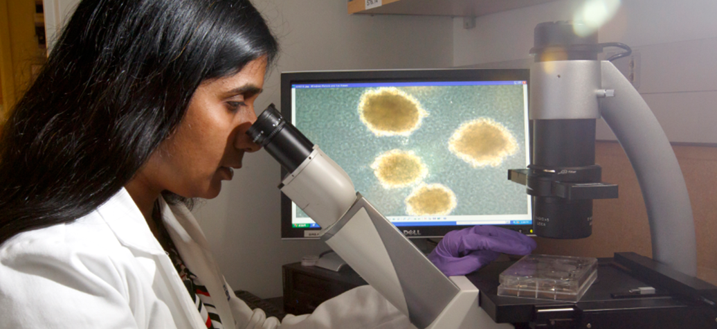Anupriya Agarwal, Ph.D., assistant professor of medicine (hematology and medical oncology) in the OHSU School of Medicine and researcher with the OHSU Knight Cancer Institute, is working to find new treatment options for those living with acute myeloid leukemia. 