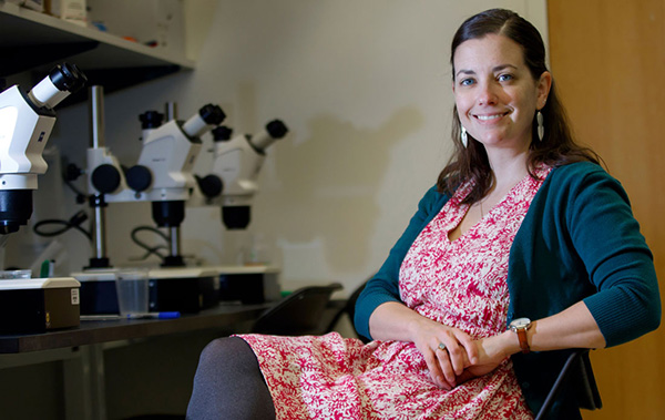 Kelly Monk, Ph.D., is an international expert on cells that make myelin, the nerve sheath at the root of many neurologic conditions. Her research team is working to decode myelin biology.