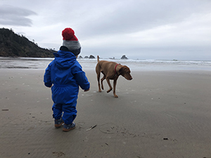 A small child and a dog at the beach on a cloudy day.