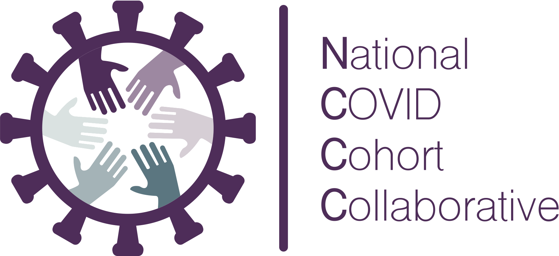 Logo for the National COVID Cohort Collaborative.