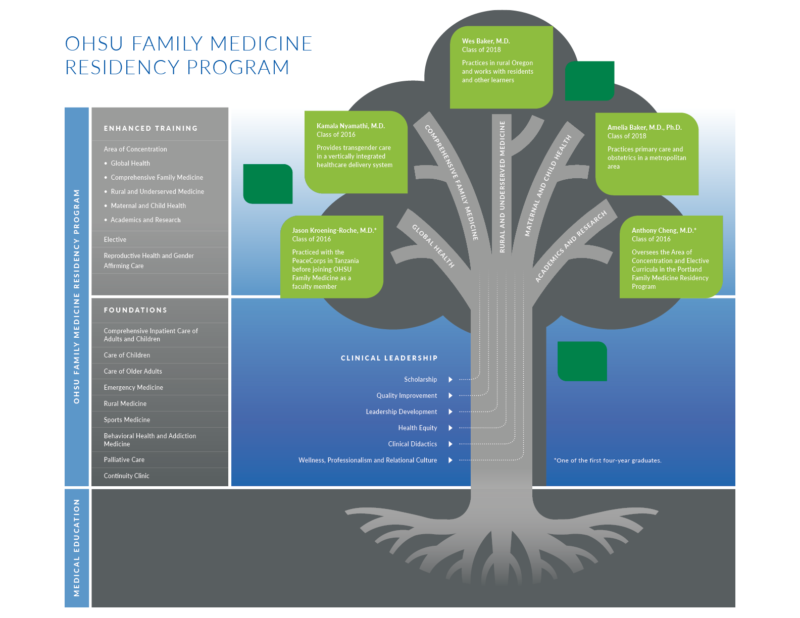Graphic of a tree with roots, trunk, branches, and leaves illustrating a resident's path from med school to practice