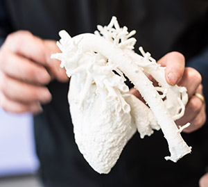 Photo of a 3D-printed heart model held in a person's hand
