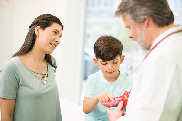 Photo of a parent and child with a healthcare provider; the provider is showing the child a model of a heart