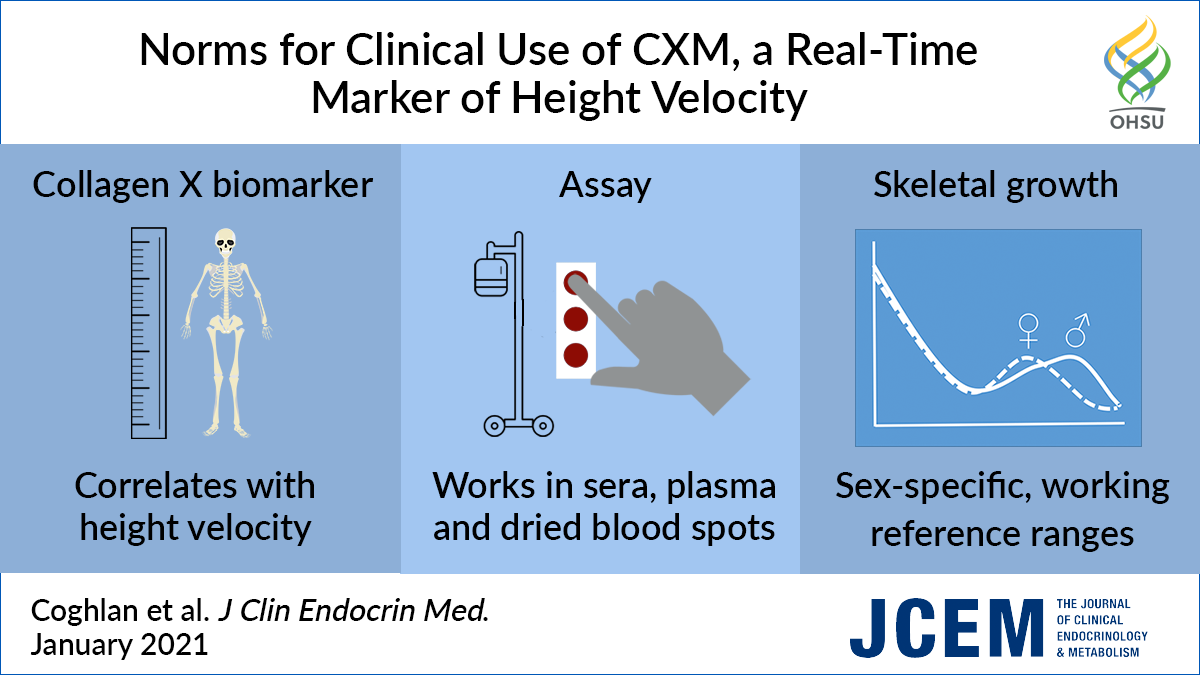 Visual abstract Norms of Clinical Use of CXM research article