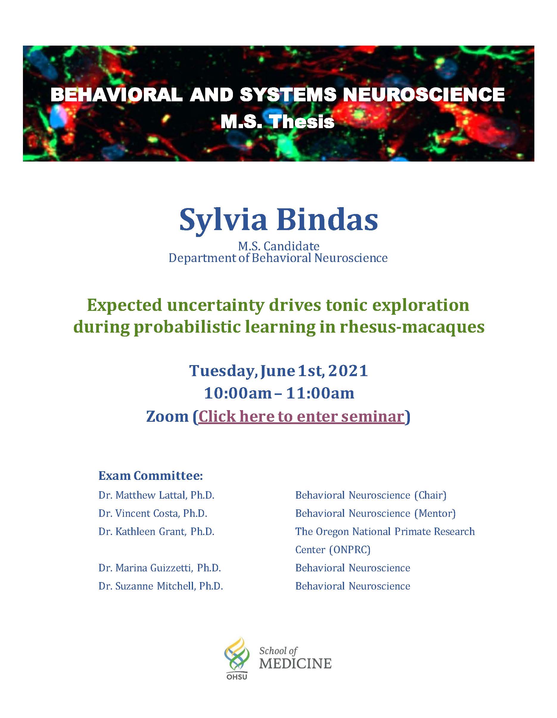 Bindas Dissertation Announcement