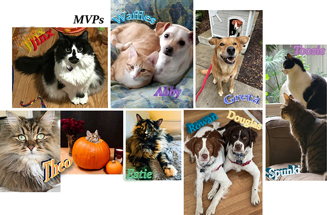 A collage of photos of the pets that belong to the Davare Lab members.