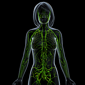 An outline of the human body shows a network of lines and nodes extending through the arms and torso. 