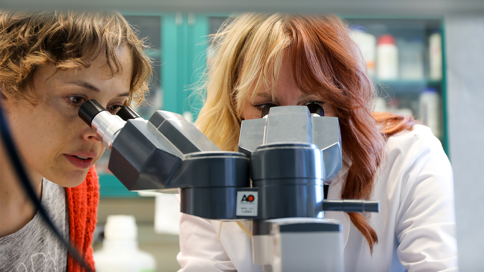 Two women peering into a microscope