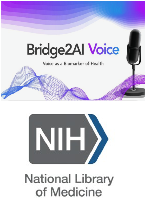 bridge to AI and NIH logos