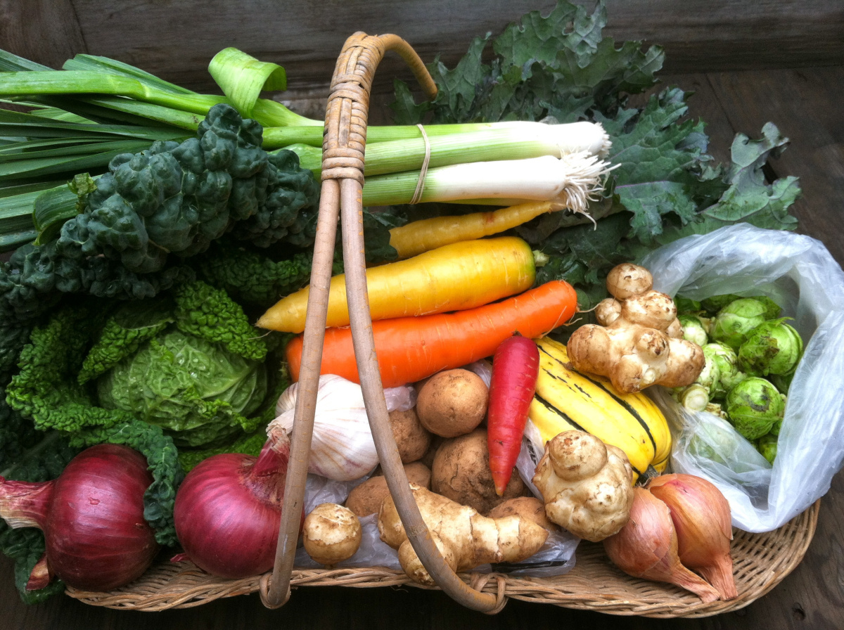 basket of beautiful and colorful fruits and veggies