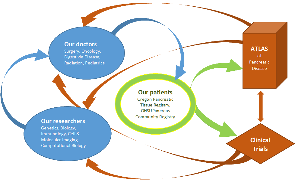 The BCCPC is a patient-centric hub