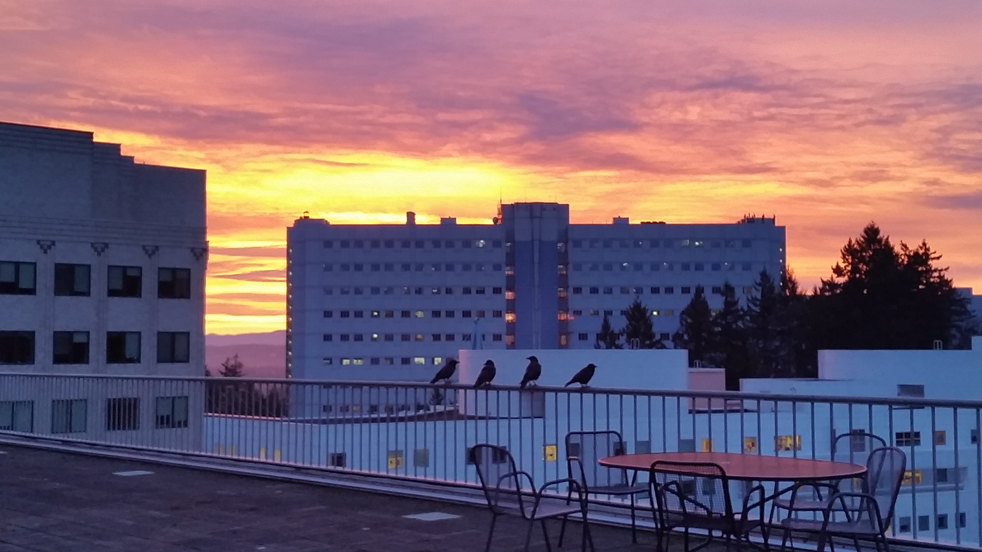 Sunrise over Doernbecher viewing from the BICC Library