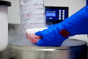 OHSU Knight Cancer researcher using a CryoFreezer