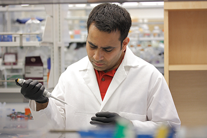 Amit Mogha, PhD, working at his lab bench in the Vollum Institute