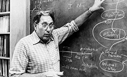 Ed Herbert, PhD, at the blackboard in his lab