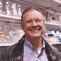 David H. Ellison, MD Principal Investigator in the Ellison Lab