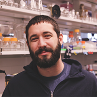 Ryan J. Cornelius, PhD Post-doctoral Fellow in the Ellison Lab, 2018