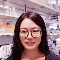 Xiao-Tong Su, PhD Post-doctoral Fellow in the Ellison Lab, 2018