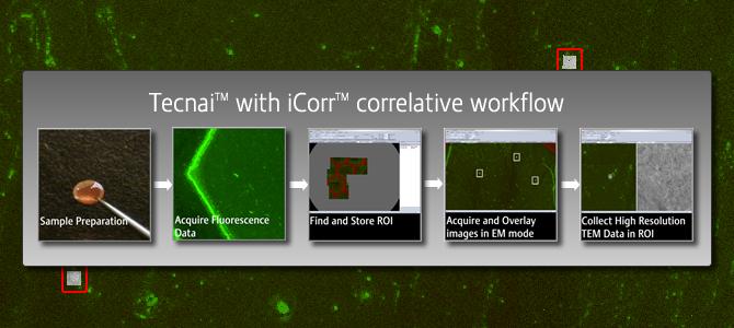 TEM-correlative-workflow