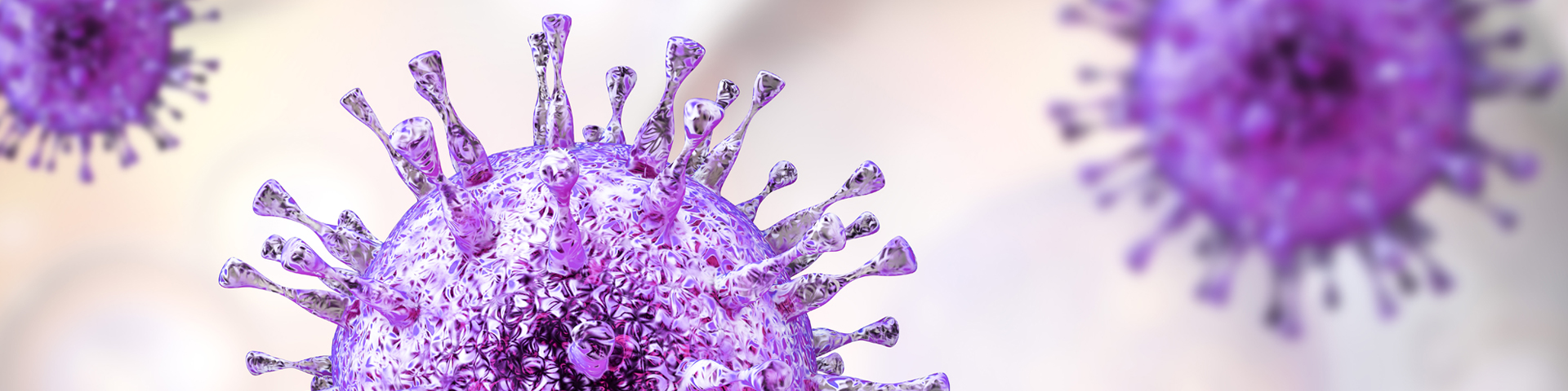 Molecular Virology Core: Cytomegalovirus Image