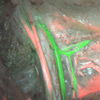 Image demonstrating the use of DSB fluorophores for simultaneous nerve and vessel imaging.