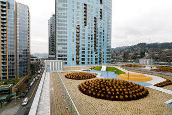Rood Family Pavilion rooftop garden with circular landscaped 'healing garden' and other South Waterfront buildings in the background