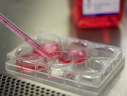 Pipetting into 6-well tissue culture plate