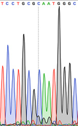 DNA Graph