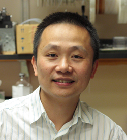 Haining Zhong, PhD