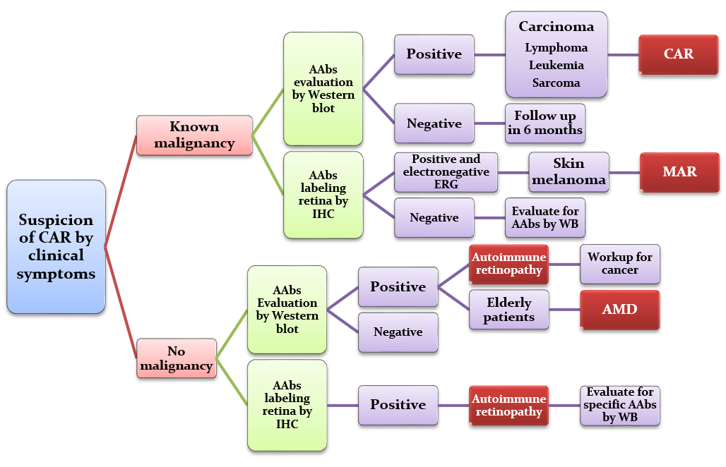 Immunology Chart