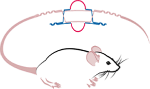 NIH Knockout Mouse Project logo