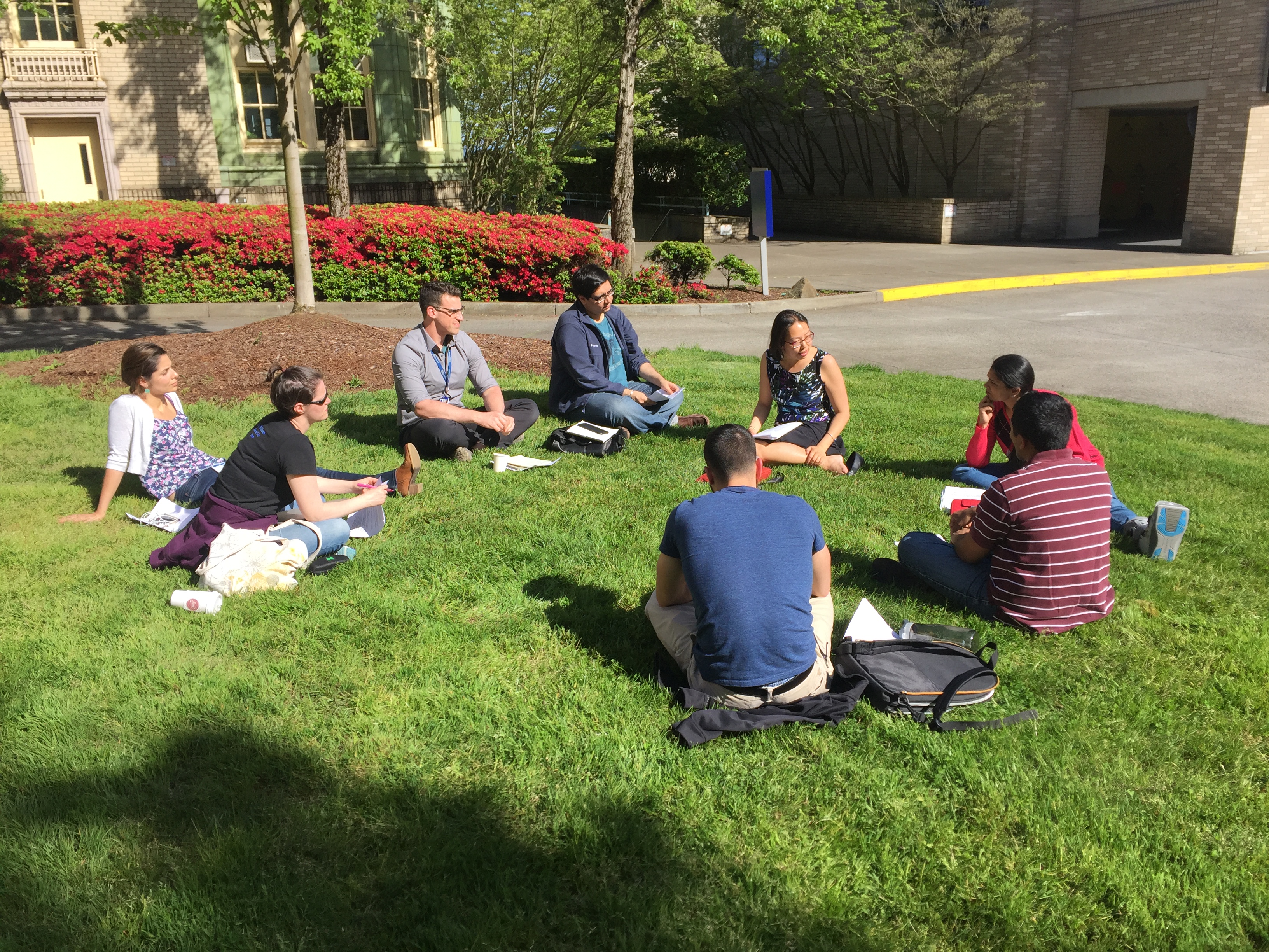 students sitting in lawn