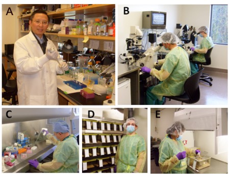 TGMM laboratory photos, including microsurgery room, ES cell culture room, and SPF mouse room.