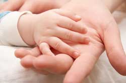 Infants hand on touch of an adult hand