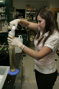 research lab tech working in lab